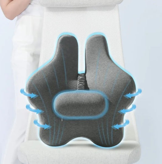 FlexiBack Ergonomic Support Cushion